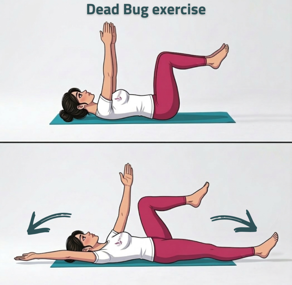 تمرين الدودة الميتة لتقوية عضلات البطن العميقة وعلاج الانفصال العضلي بعد الولادة — تمارين الانفصال العضلي بعد الولادة: دليلك الكامل للتشخيص والتعافي المنزلي